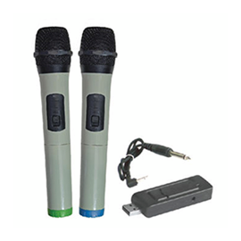 Ручной радиомикрофон BIG USB MIC2, фото 