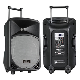 Автономная активная акустическая система NGS Premium BS-505FX 15", 250Вт, фото 