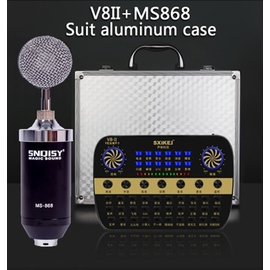 Портативный голосовой процессор для караоке PC-V8II, фото 