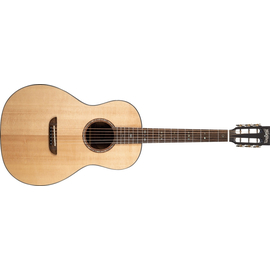 Акустическая гитара Washburn WP33SRS