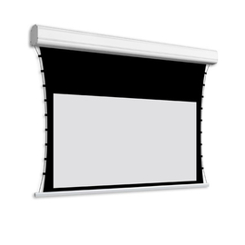 Екран моторіз. Adeo Professional tensio classic Reference White 208x117, image 