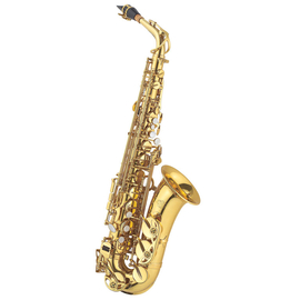 Альт саксофон J.MICHAEL AL-600 (P) Alto Saxophone