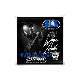 Струни для електрогітар SIT STRINGS SS-S1158WL, image 