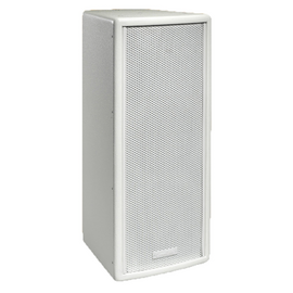 Настінна акустична система BIAMP V2-26W, image 