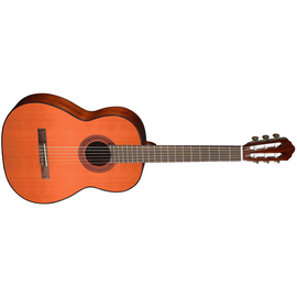 Классическая гитара CORT AC100DX YT w/bag