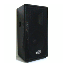 Активная акустическая система BIG SYX12ACTIVE300W