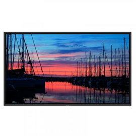 Інтерактивна панель NewLine TT-7519IP, image 