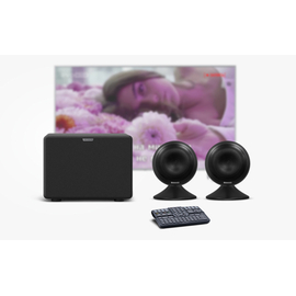 Караоке-комплект с микрофонами и стереосистемой Evolution (EVOBOX Plus + EvoSound Sphere + SE200D)