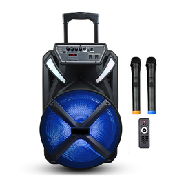 Портативная акустическая система BIG 300BAT USB/MP3/FM/BT/TWS + 2pcs VHF mic