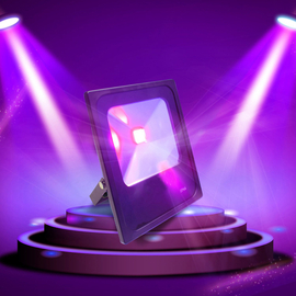 Ультрафиолетовый LED-прожектор BIG LEDFLOODUV30W