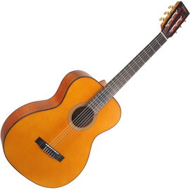 Классическая гитара VALENCIA VA434VNA