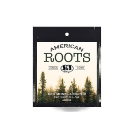 Струны для акустических гитар SIT STRINGS AR1152