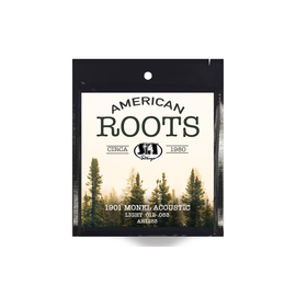 Струны для акустических гитар SIT STRINGS AR1253