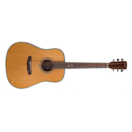 Акустическая гитара Prima DSAG219