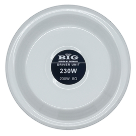 Всепогодный драйвер для трансляционного оповещения BIG DRIVER230W8