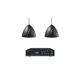 Комплект звуку DV audio MA402PS5B для приміщення до 40м.кв