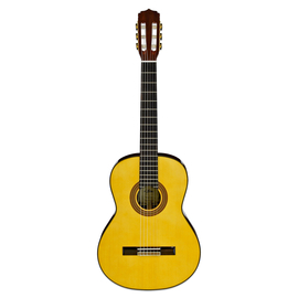 Класична гітара Aria A-30S N