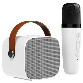 Беспроводной микрофон для караоке с колонкой FIFINE E1W