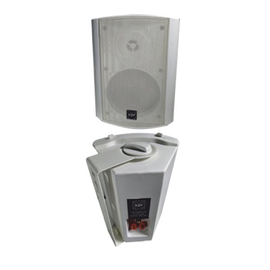 Акустическая система DJ Lights WS - 554 WT (Белый)