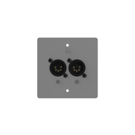 Настенный двухпортовый DMX узел ChamSys GeNetix GW2I EU 2 port Wall Mount Node DMX In Ports