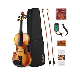 Скрипичный комплект Donner Music Eastar EVA-330 4/4 Solid Wood Violin Set With Two Bow EB 0217