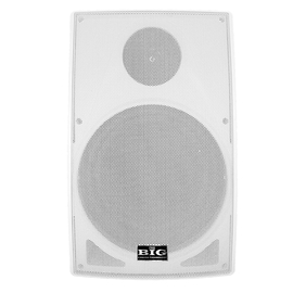 Настенная акустическая система BIG MSB888 WHITE 180W 8Ohm/100V