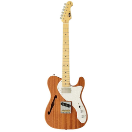 Электрогитара FUJIGEN FGN NTE110MMHT-NT Neo Classic (Natural)