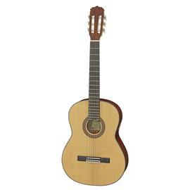Классическая гитара Aria A-10 N