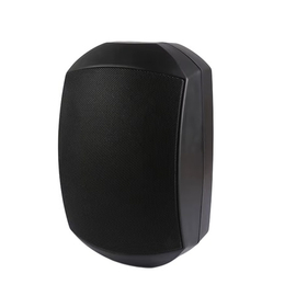 Акустическая система Top Sound F-LHY4Y 4", 20Вт, 100В, черный