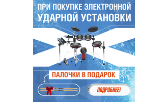 При покупке электронной ударной установки - палочки в подарок!