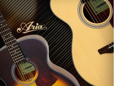 Новое поступление: гитары Aria!