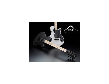 Встречайте! Новое поступление: Fujigen / FGN (Япония)!