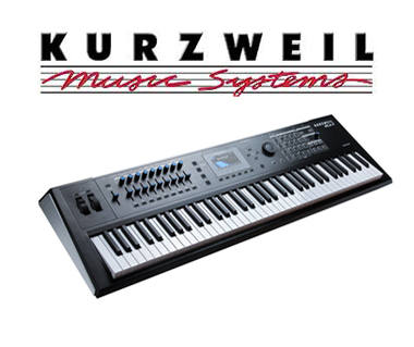 Новое поступление KURZWEIL!