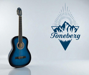 Новый бренд TONEBERG - шведские гитары и укулеле!