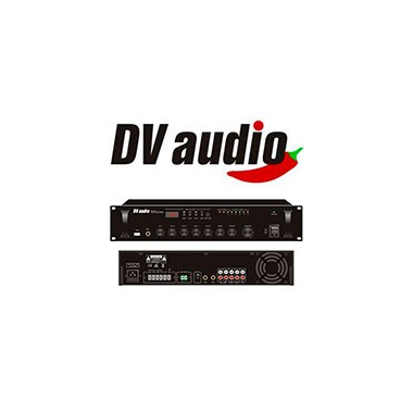 Новое поступление: DV audio!