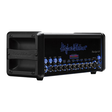 Гитарный усилитель Hughes & Kettner Black Spirit 200​ - купить в