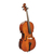 Виолончель STENTOR 1102/E STUDENT I CELLO OUTFIT 1/2 - 107460 за 22477 грн. | 4Club