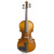 Скрипка STENTOR 1542/A GRADUATE VIOLIN OUTFIT 4/4 - 107447 за 13033 грн. | 4Club