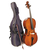 Виолончель STENTOR 1102/C STUDENT I CELLO OUTFIT 3/4