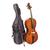 Виолончель STENTOR 1102/E STUDENT I CELLO OUTFIT 1/2