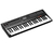 Клавишный MIDI-контроллер KORG TRTK-49 100015355000