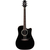 Электроакустическая гитара TAKAMINE EF341SC 5550001366