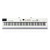 MIDI-клавиатура Studiologic Numa STAGE