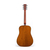 Акустическая гитара Martin D18P