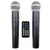 Активная акустическая система HL AUDIO USK15A BT/USB