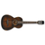 Акустическая гитара IBANEZ AVN6 DTS - 120099 за 0 грн. | 4Club