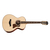 Электроакустическая гитара TAYLOR 812e12fret - 120672 за 0 грн. | 4Club