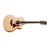 Двенадцатиструнная гитара TAYLOR 456ce - 120809 за 0 грн. | 4Club