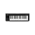 MIDI-клавиатура KORG MICROKEY2-25AIR 100018487000 - 122055 за 0 грн. | 4Club