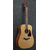​Акустическая гитара IBANEZ AVD9 NT